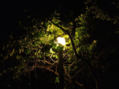 Zo geeft nieuwe buitenverlichting je tuin echt diepte