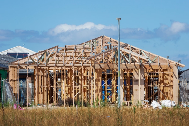 Hout, hennep en stro veroveren de bouwplaats